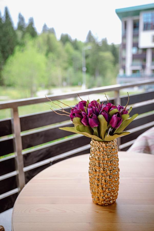 Silver Mountain Resort & Spa Poiana Brasov Luaran gambar